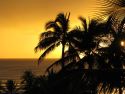 The Best of Beautiful Hawaii