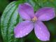 Best Gardens